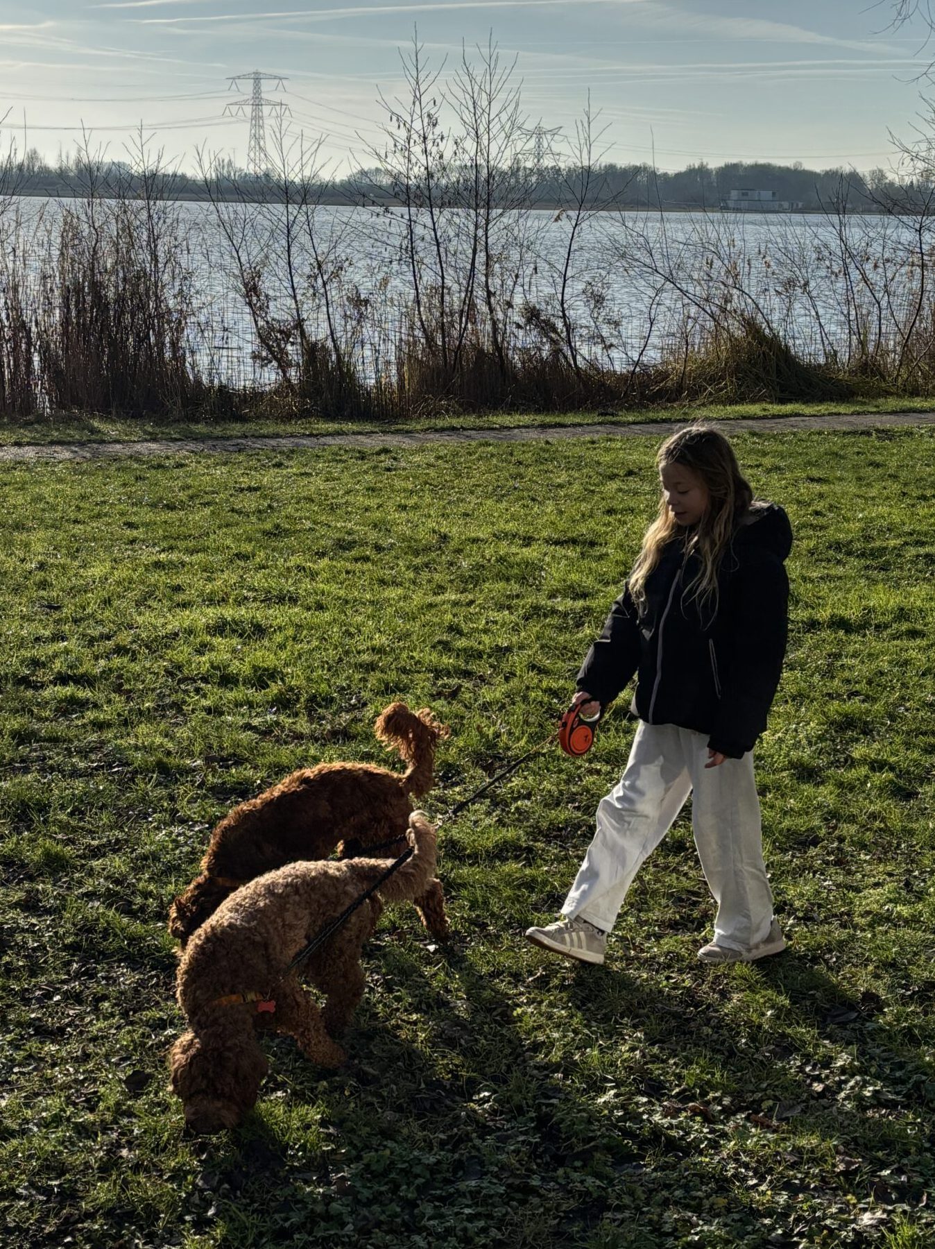 IMG 0072 Scaled E1769075277981